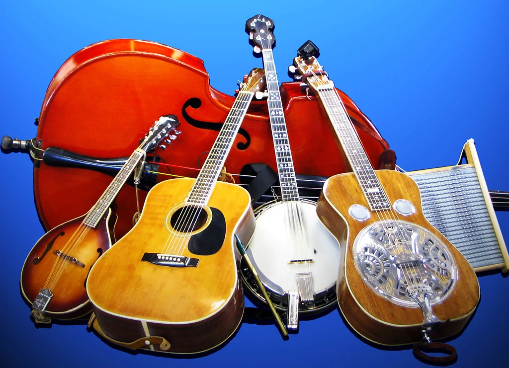 country music instruments