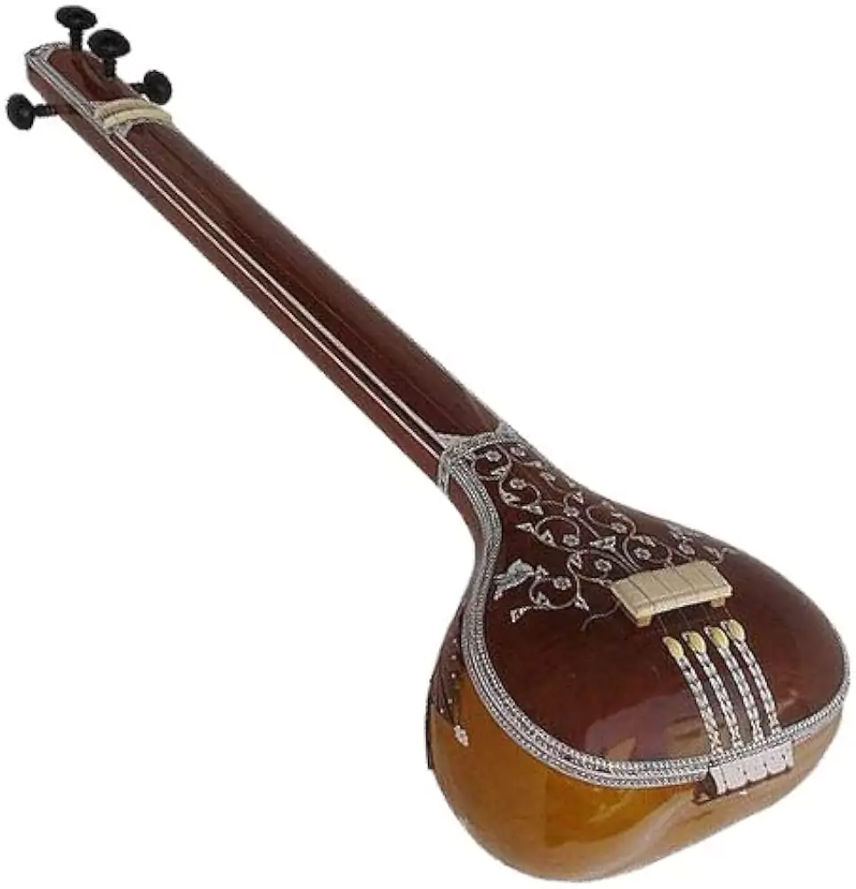 Tanpura Instrument